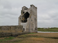 Carrigafoyle Castle